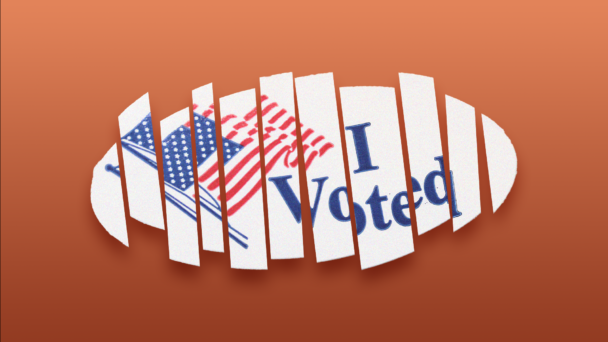 I voted sticker cut into pieces