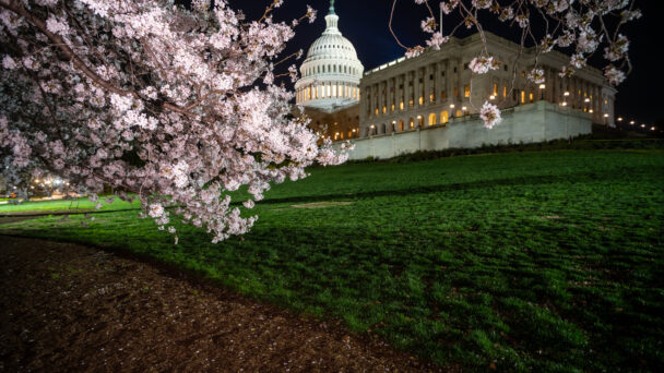 white house