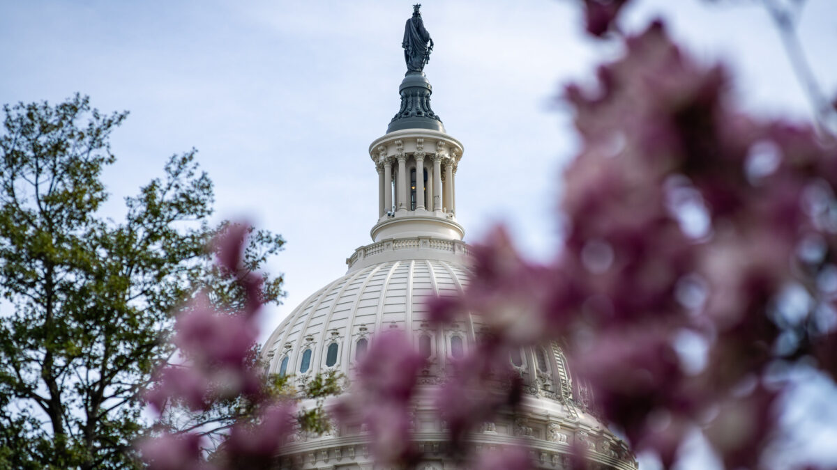 Capitol with flowers