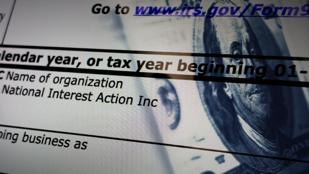 National Interest Action Inc.