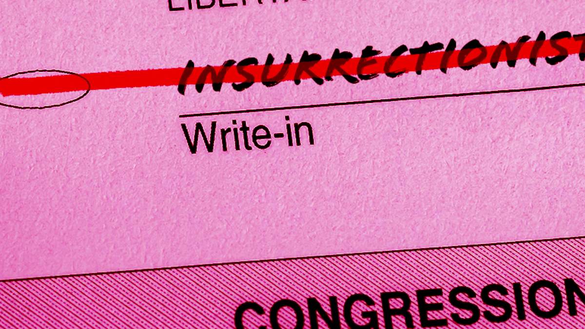 Insurrectionist crossed out on ballot